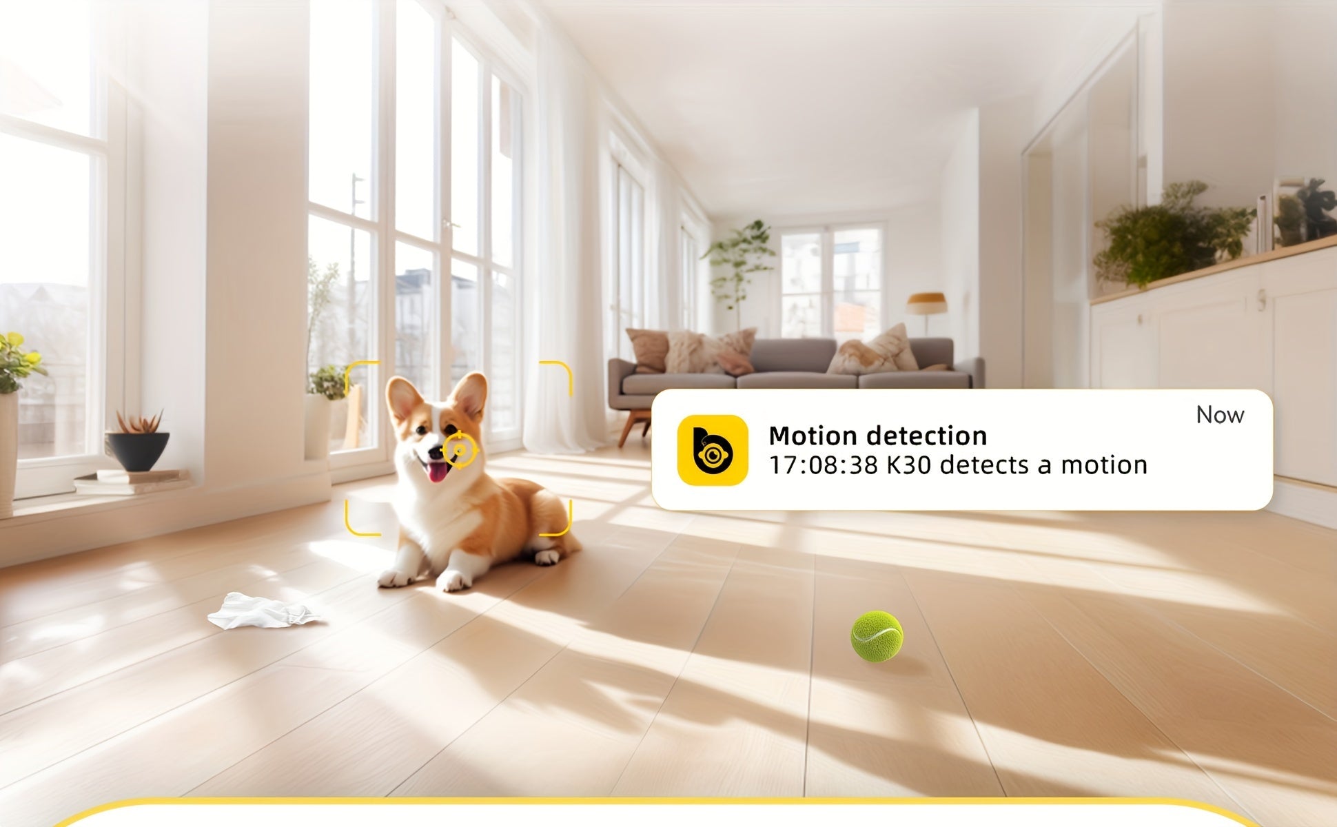 2K Smart Pet Camera – 360° Pan & Tilt, Night Vision & Two-Way Audio